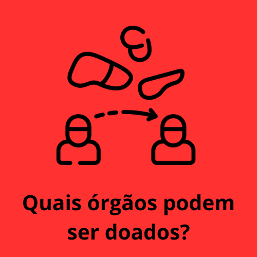 Imagem de fundo vermelho, com um desenho de duas pessoas e alguns órgaos em cima deles, e a escrita Quais órgaos podem ser doados?